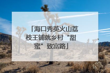 海口秀英火山荔枝王铺就乡村“甜蜜”致富路