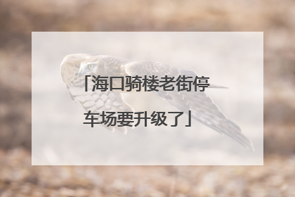 海口骑楼老街停车场要升级了