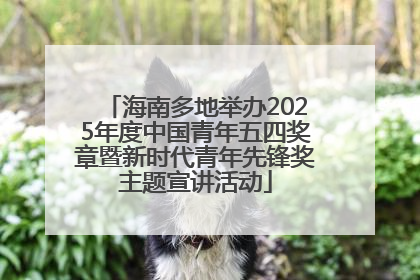 海南多地举办2025年度中国青年五四奖章暨新时代青年先锋奖主题宣讲活动