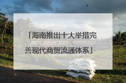 海南推出十大举措完善现代商贸流通体系