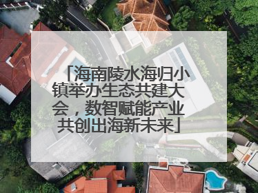 海南陵水海归小镇举办生态共建大会，数智赋能产业共创出海新未来