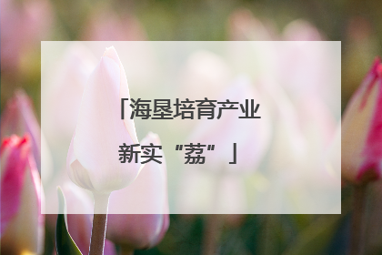 海垦培育产业新实“荔”