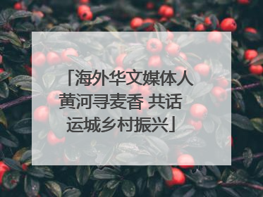 海外华文媒体人黄河寻麦香 共话运城乡村振兴