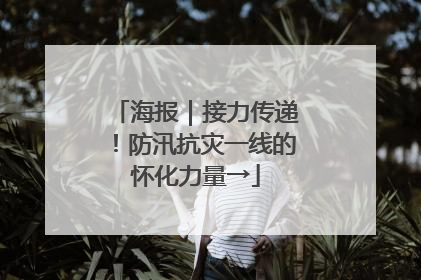 海报｜接力传递！防汛抗灾一线的怀化力量→