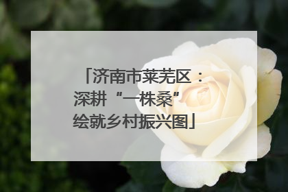 济南市莱芜区：深耕“一株桑” 绘就乡村振兴图