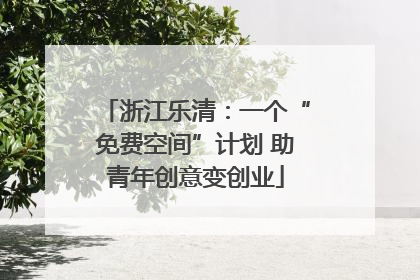 浙江乐清：一个“免费空间”计划 助青年创意变创业