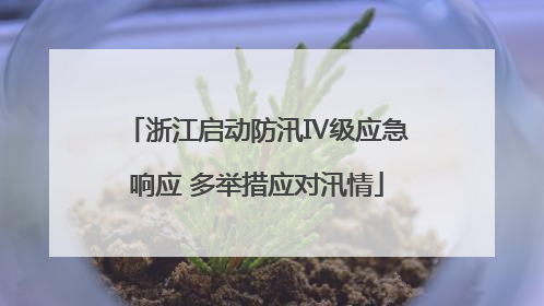 浙江启动防汛Ⅳ级应急响应 多举措应对汛情