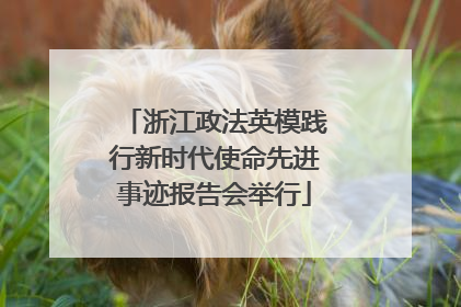 浙江政法英模践行新时代使命先进事迹报告会举行