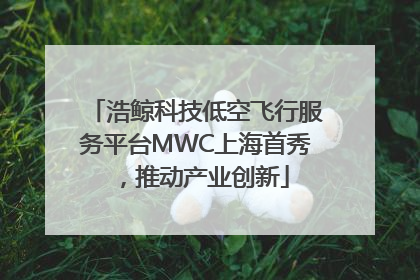 浩鲸科技低空飞行服务平台MWC上海首秀，推动产业创新