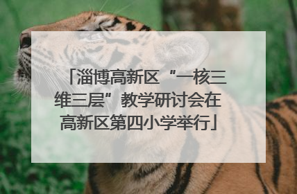 淄博高新区“一核三维三层”教学研讨会在高新区第四小学举行