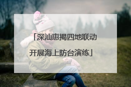深汕惠揭四地联动开展海上防台演练