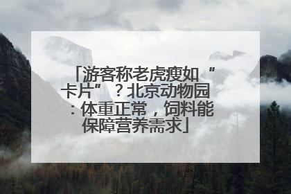 游客称老虎瘦如“卡片”？北京动物园：体重正常，饲料能保障营养需求
