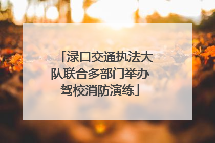 渌口交通执法大队联合多部门举办驾校消防演练