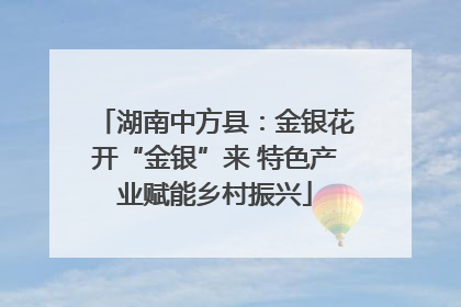 湖南中方县：金银花开“金银”来 特色产业赋能乡村振兴