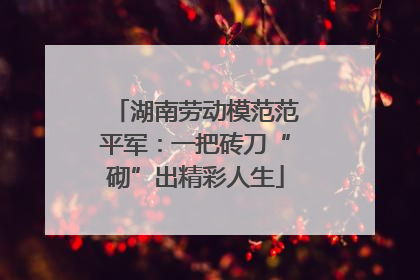 湖南劳动模范范平军：一把砖刀“砌”出精彩人生