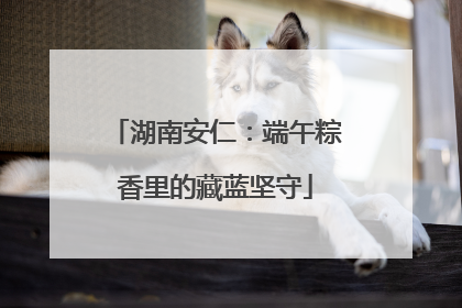 湖南安仁：端午粽香里的藏蓝坚守
