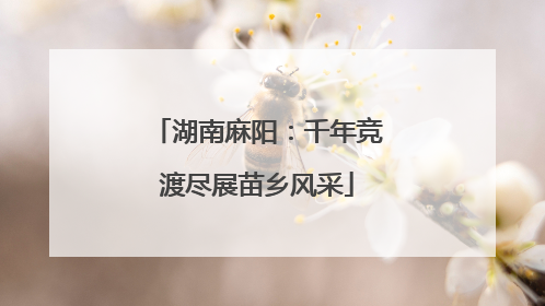 湖南麻阳：千年竞渡尽展苗乡风采