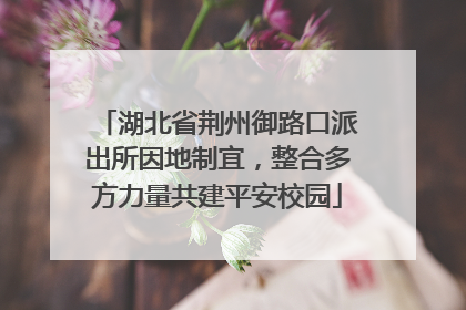 湖北省荆州御路口派出所因地制宜，整合多方力量共建平安校园