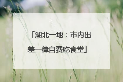 湖北一地：市内出差一律自费吃食堂