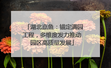 湖北嘉鱼：锚定满园工程，多维度发力推动园区高质量发展