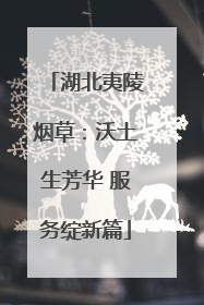 湖北夷陵烟草：沃土生芳华 服务绽新篇
