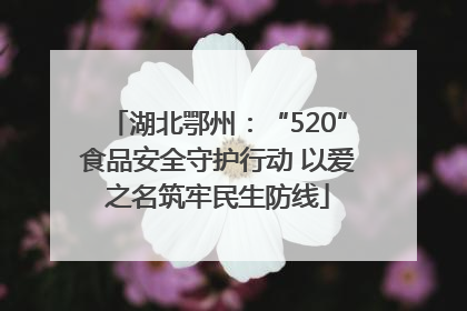 湖北鄂州：“520”食品安全守护行动 以爱之名筑牢民生防线