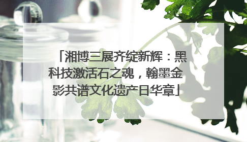 湘博三展齐绽新辉：黑科技激活石之魂，翰墨金影共谱文化遗产日华章