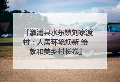 溆浦县水东镇刘家渡村：人居环境焕新 绘就和美乡村长卷
