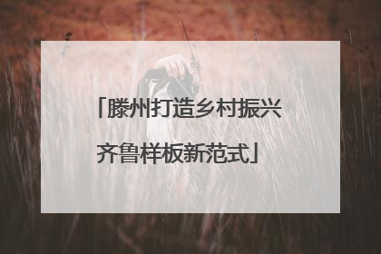 滕州打造乡村振兴齐鲁样板新范式