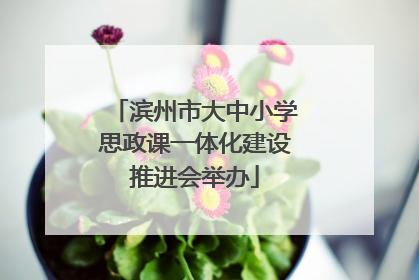滨州市大中小学思政课一体化建设推进会举办
