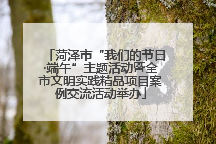 菏泽市“我们的节日·端午”主题活动暨全市文明实践精品项目案例交流活动举办