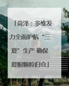 菏泽：多维发力全面护航“三夏”生产 确保夏粮颗粒归仓