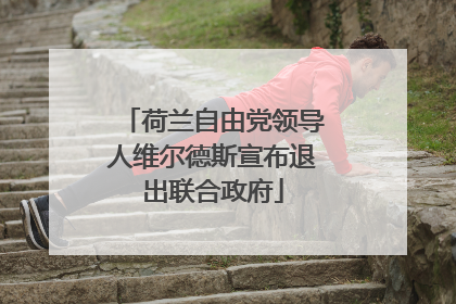 荷兰自由党领导人维尔德斯宣布退出联合政府