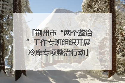荆州市“两个整治”工作专班组织开展冷库专项整治行动
