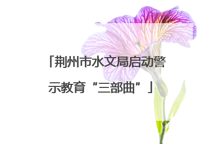 荆州市水文局启动警示教育“三部曲”