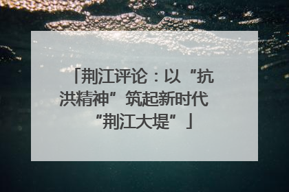 荆江评论：以“抗洪精神”筑起新时代“荆江大堤”