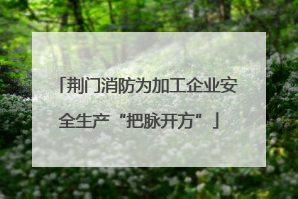 荆门消防为加工企业安全生产“把脉开方”