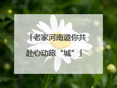老家河南邀你共赴心动旅“城”