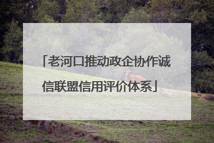 老河口推动政企协作诚信联盟信用评价体系