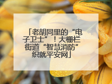 老胡同里的“电子卫士”！大栅栏街道“智慧消防”织就平安网
