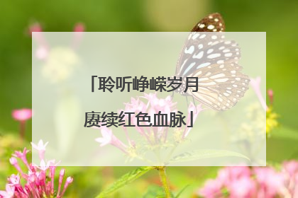 聆听峥嵘岁月 赓续红色血脉