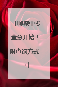 聊城中考查分开始！附查询方式→