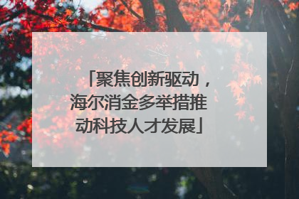 聚焦创新驱动，海尔消金多举措推动科技人才发展