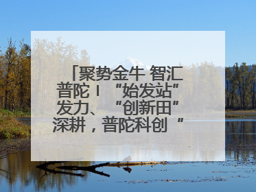 聚势金牛 智汇普陀〡“始发站”发力、“创新田”深耕，普陀科创“金牛”闪耀