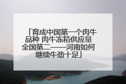育成中国第一个肉牛品种 肉牛冻精供应量全国第二——河南如何继续牛劲十足