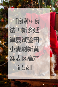 良种+良法！新乡延津县试验田小麦刷新黄淮麦区高产记录
