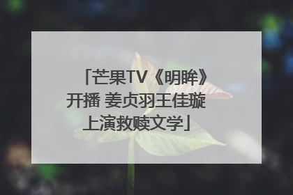 芒果TV《明眸》开播 姜贞羽王佳璇上演救赎文学