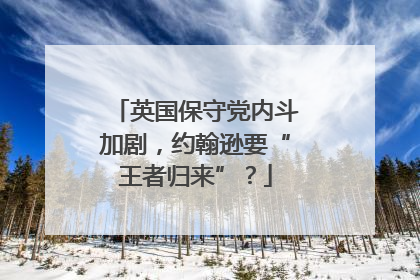 英国保守党内斗加剧，约翰逊要“王者归来”？