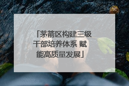 茅箭区构建三级干部培养体系 赋能高质量发展