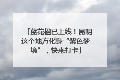 蓝花楹已上线！昆明这个地方化身“紫色梦境”，快来打卡